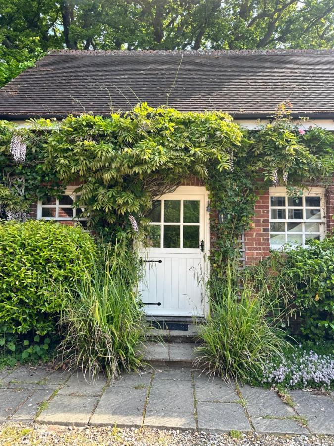 Peaceful Cottage With Private Garden Hailsham Buitenkant foto