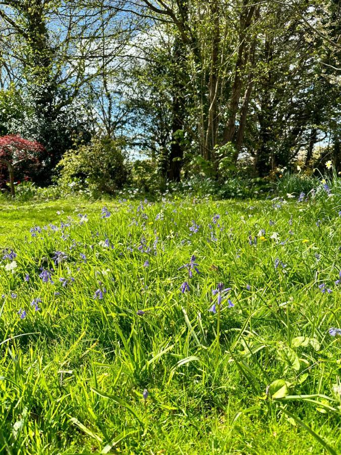 Peaceful Cottage With Private Garden Hailsham Buitenkant foto